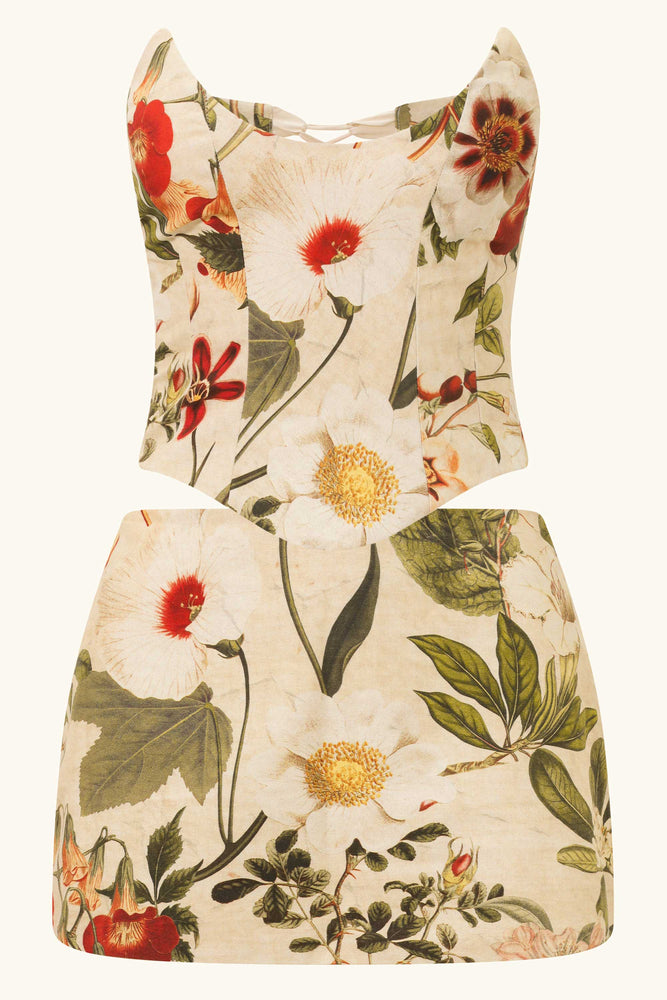 Niara Set Bloom ~ Rental