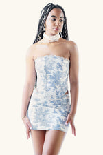 Aurora Set Blue Toile ~ Rental