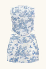 Aurora Set Blue Toile ~ Rental