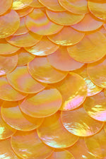 Zeïa Low Rise Mini Skirt ~ Marigold Mother of Pearl